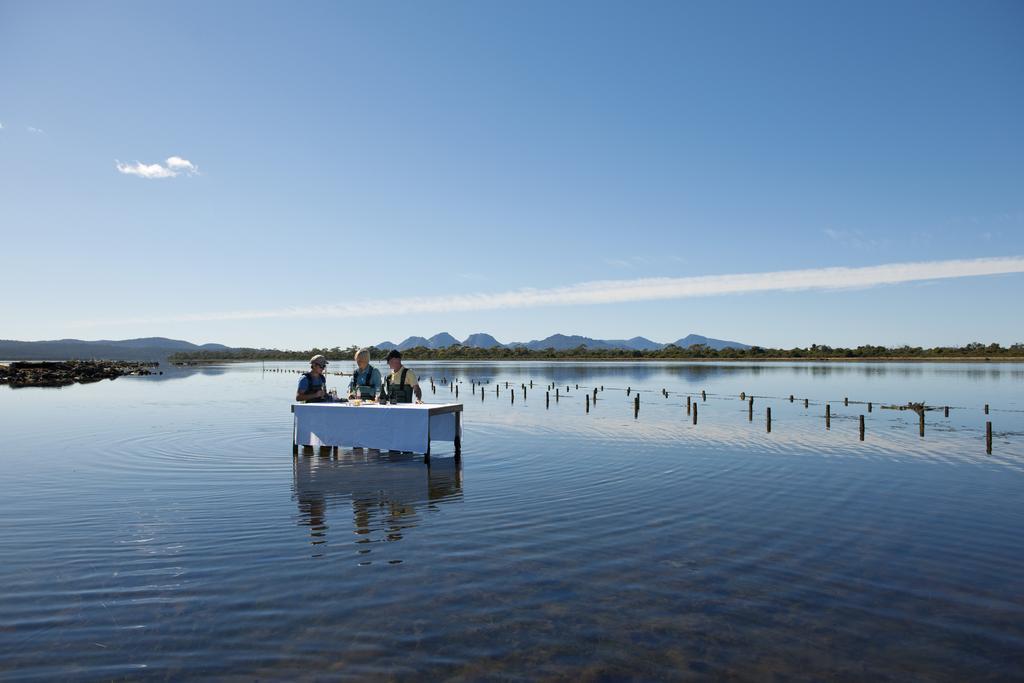 Saffire - Freycinet Otel Coles Bay Dış mekan fotoğraf